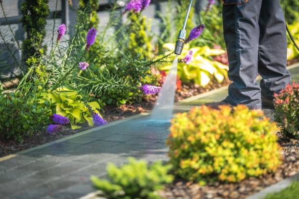 Trusted Mount Pocono, PA Pressure Washing Services Experts